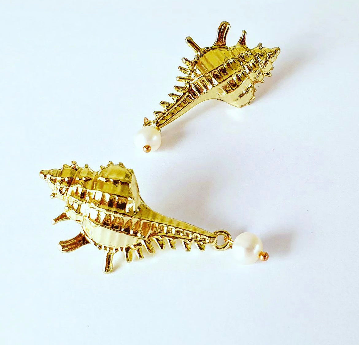 Scallop earrings