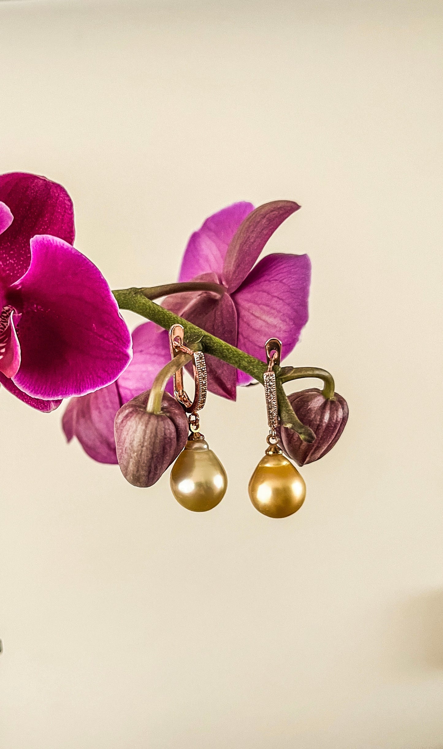 Golden South Sea Pearl