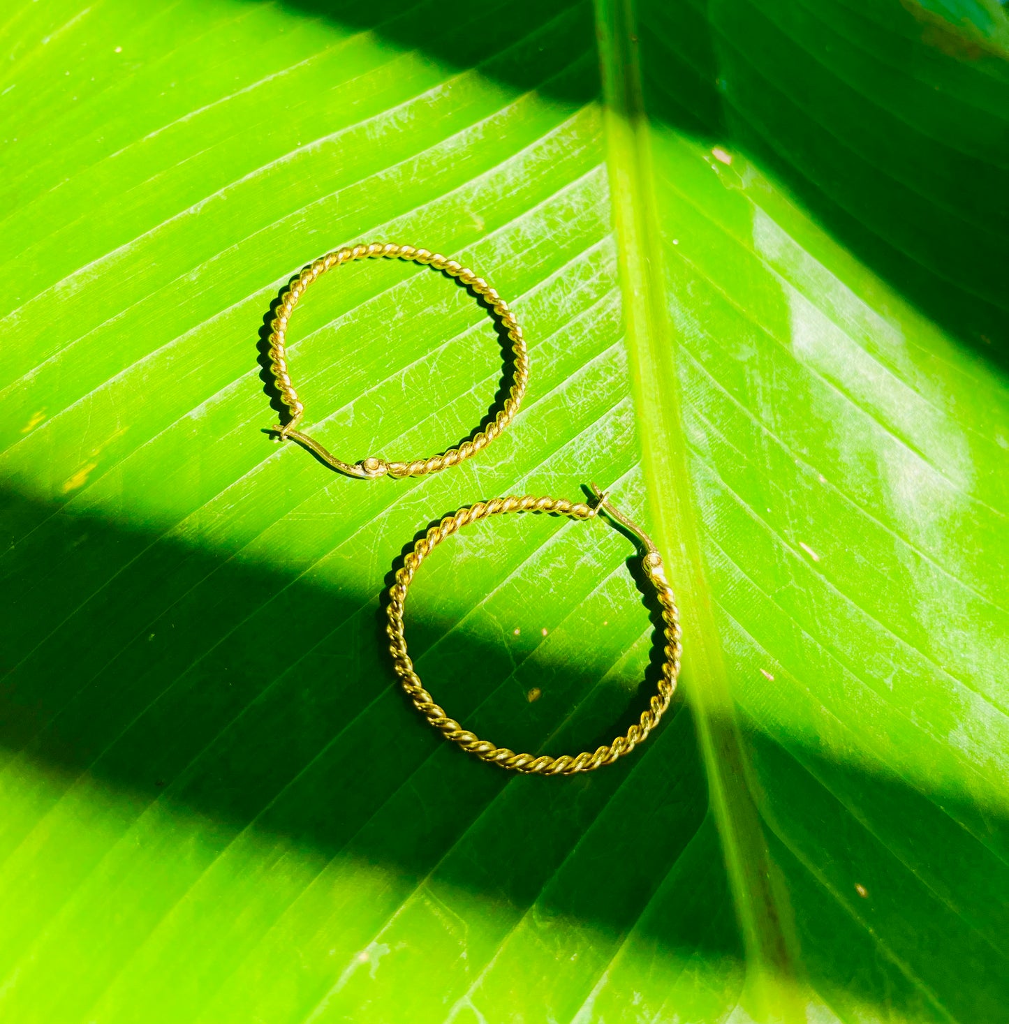 Boucles d'oreilles torsadées