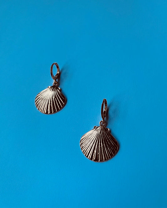 Shell earrings