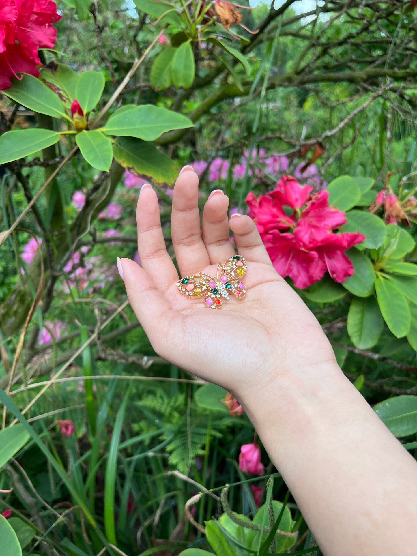 Butterfly